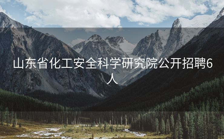 山东省化工安全科学研究院公开招聘6人