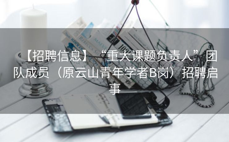【招聘信息】“重大课题负责人”团队成员（原云山青年学者B岗）招聘启事