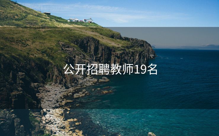公开招聘教师19名