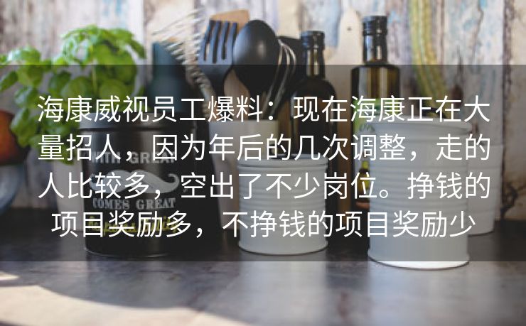 海康威视员工爆料：现在海康正在大量招人，因为年后的几次调整，走的人比较多，空出了不少岗位。挣钱的项目奖励多，不挣钱的项目奖励少