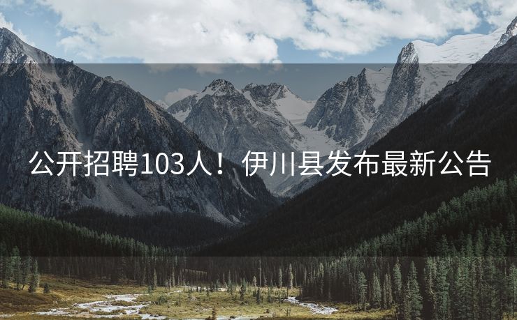 公开招聘103人！伊川县发布最新公告