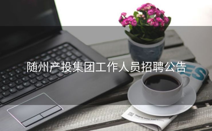 随州产投集团工作人员招聘公告