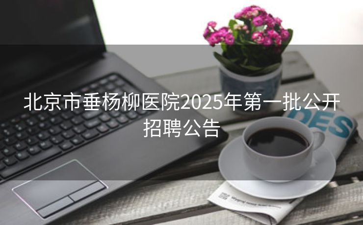 北京市垂杨柳医院2025年第一批公开招聘公告