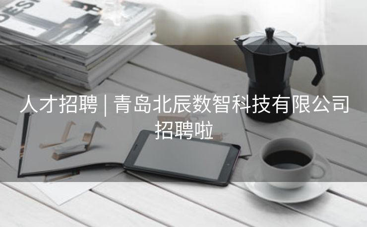 人才招聘 | 青岛北辰数智科技有限公司招聘啦