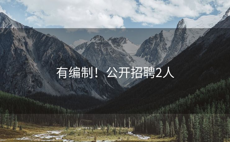 有编制！公开招聘2人