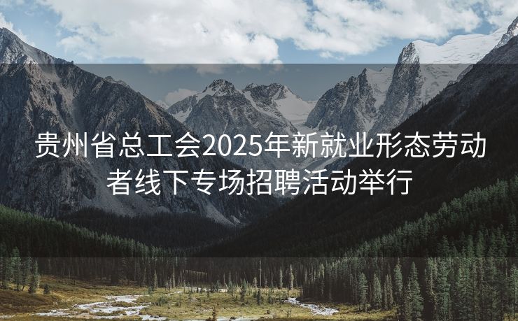 贵州省总工会2025年新就业形态劳动者线下专场招聘活动举行