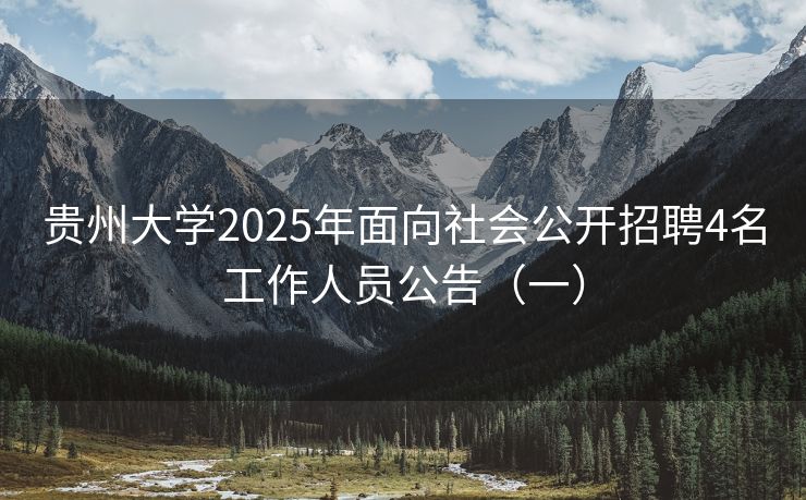 贵州大学2025年面向社会公开招聘4名工作人员公告（一）