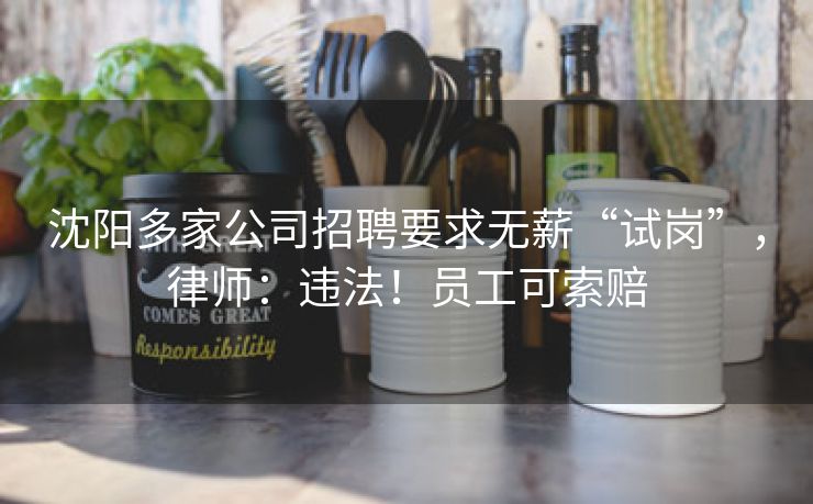 沈阳多家公司招聘要求无薪“试岗”，律师：违法！员工可索赔