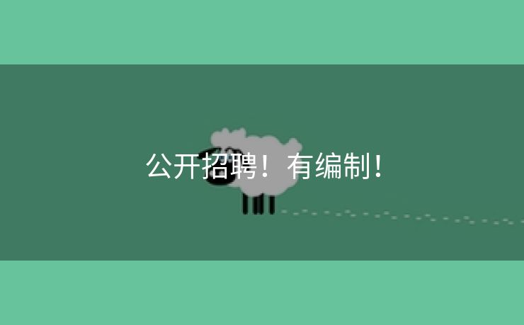 公开招聘！有编制！