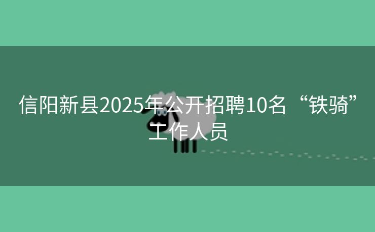 信阳新县2025年公开招聘10名“铁骑”工作人员