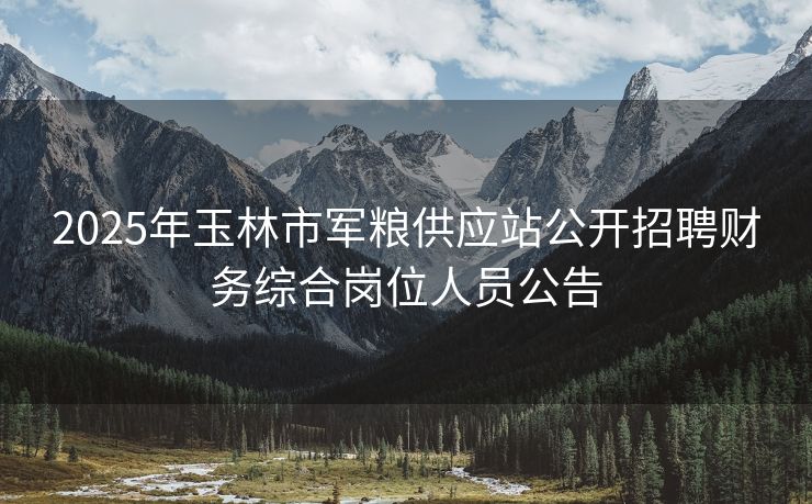 2025年玉林市军粮供应站公开招聘财务综合岗位人员公告