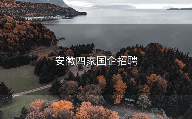 安徽四家国企招聘