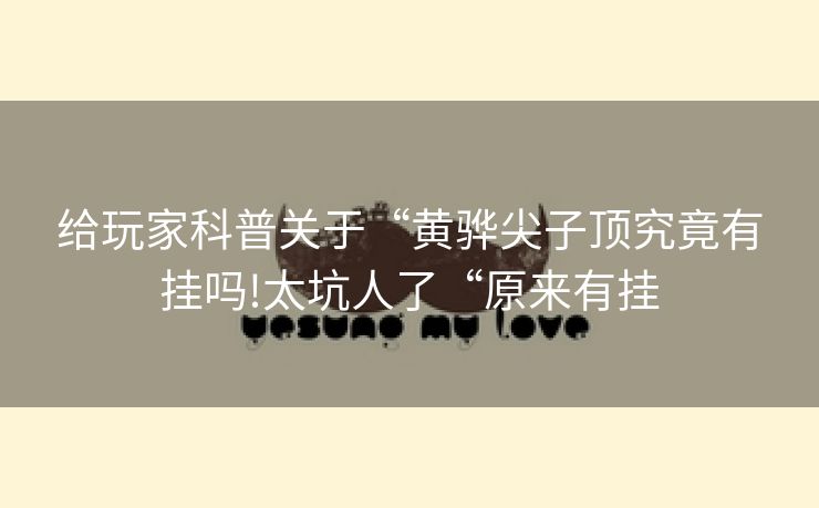 给玩家科普关于“黄骅尖子顶究竟有挂吗!太坑人了“原来有挂