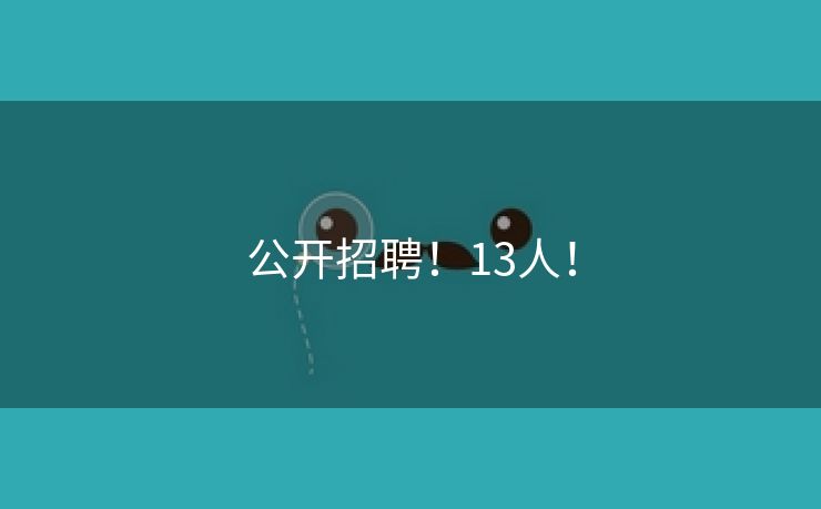 公开招聘！13人！