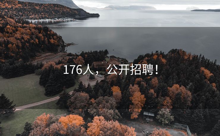 176人，公开招聘！