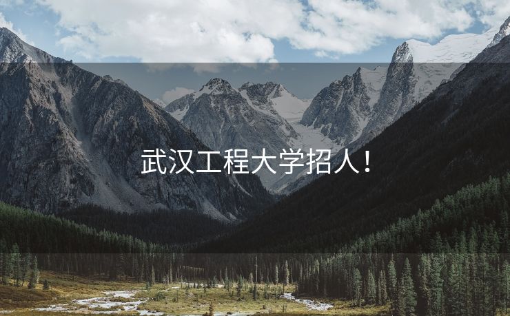 武汉工程大学招人！