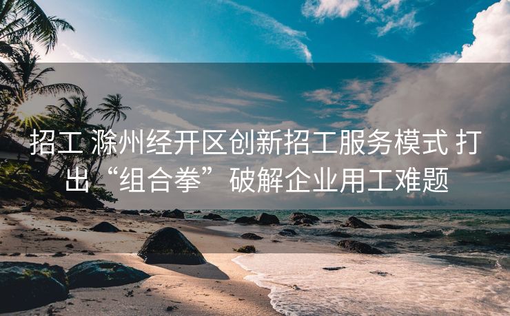 招工 滁州经开区创新招工服务模式 打出“组合拳”破解企业用工难题