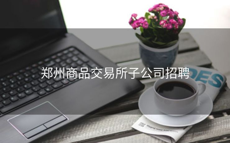 郑州商品交易所子公司招聘